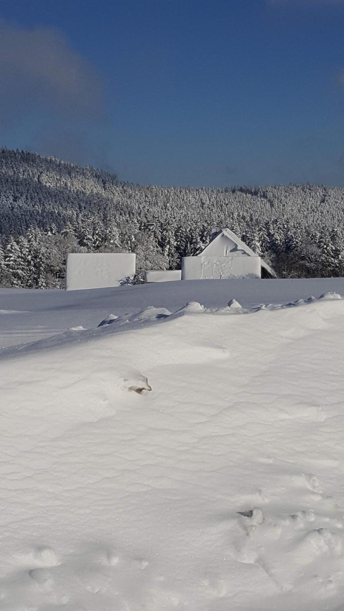 Fewo Fuchs Appartement Lauterbach  Buitenkant foto