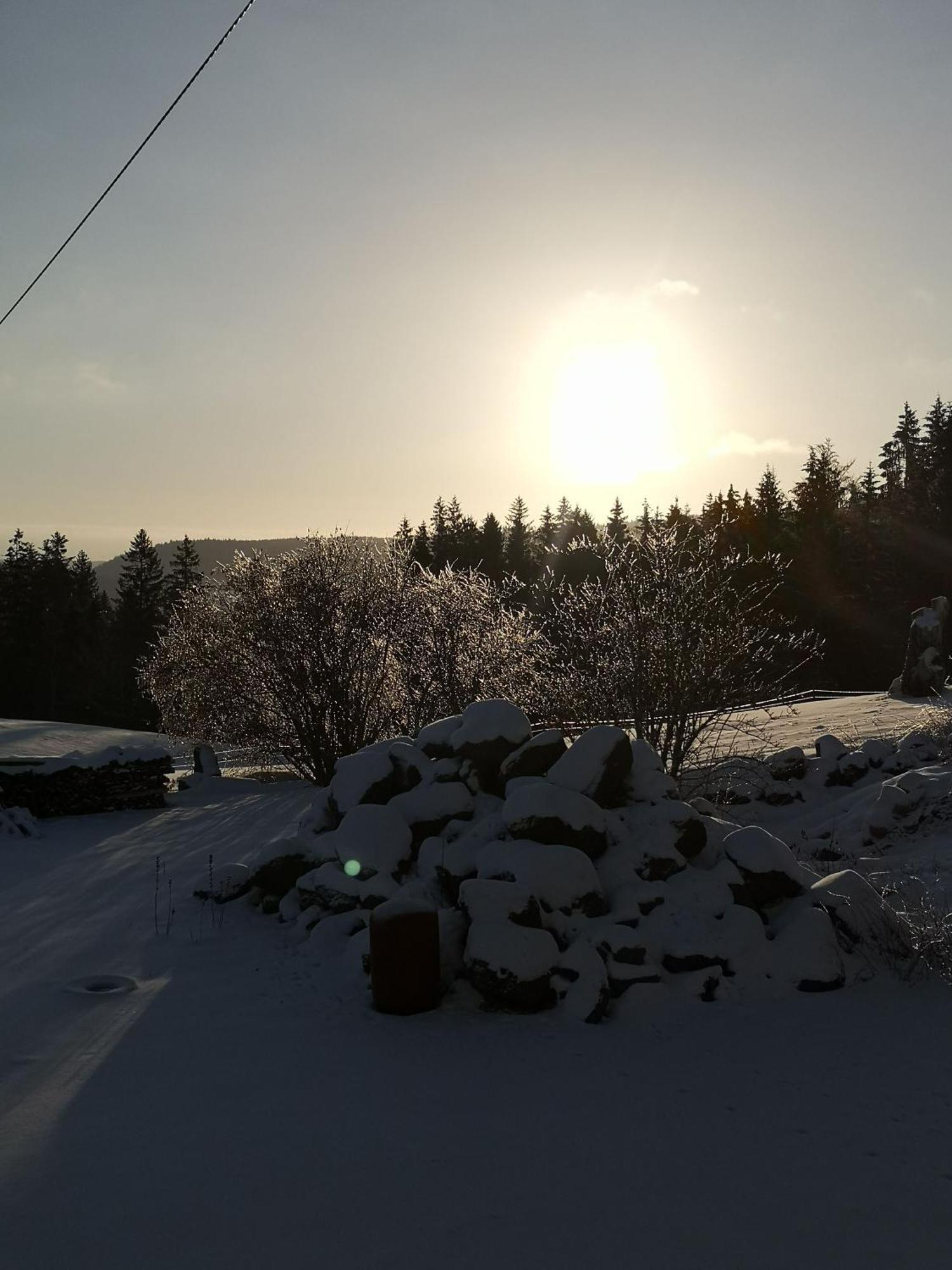 Fewo Fuchs Appartement Lauterbach  Buitenkant foto