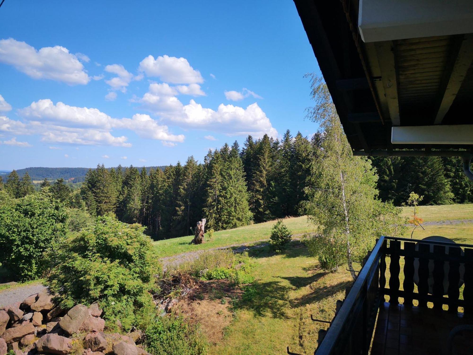 Fewo Fuchs Appartement Lauterbach  Buitenkant foto