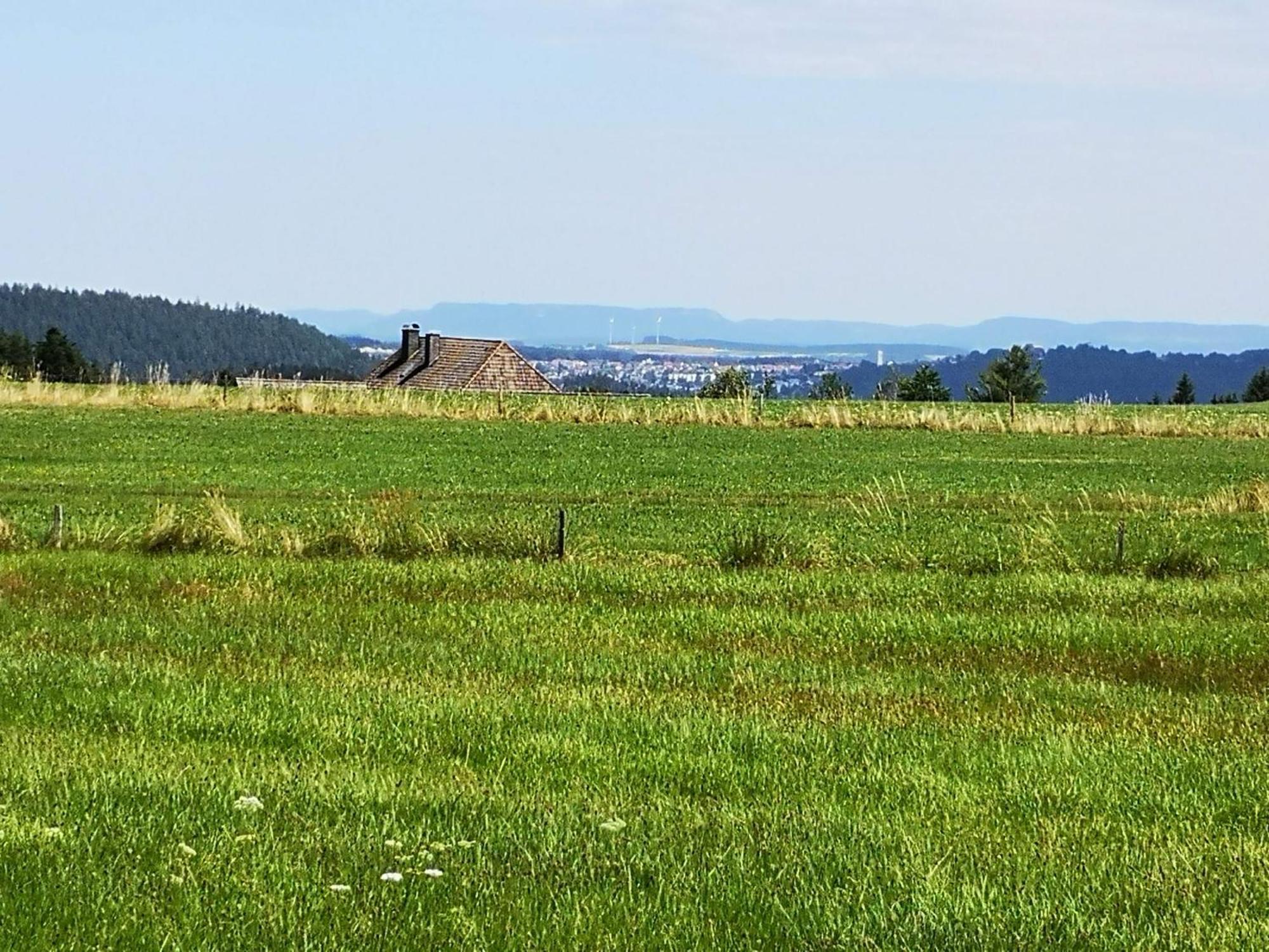 Fewo Fuchs Appartement Lauterbach  Buitenkant foto